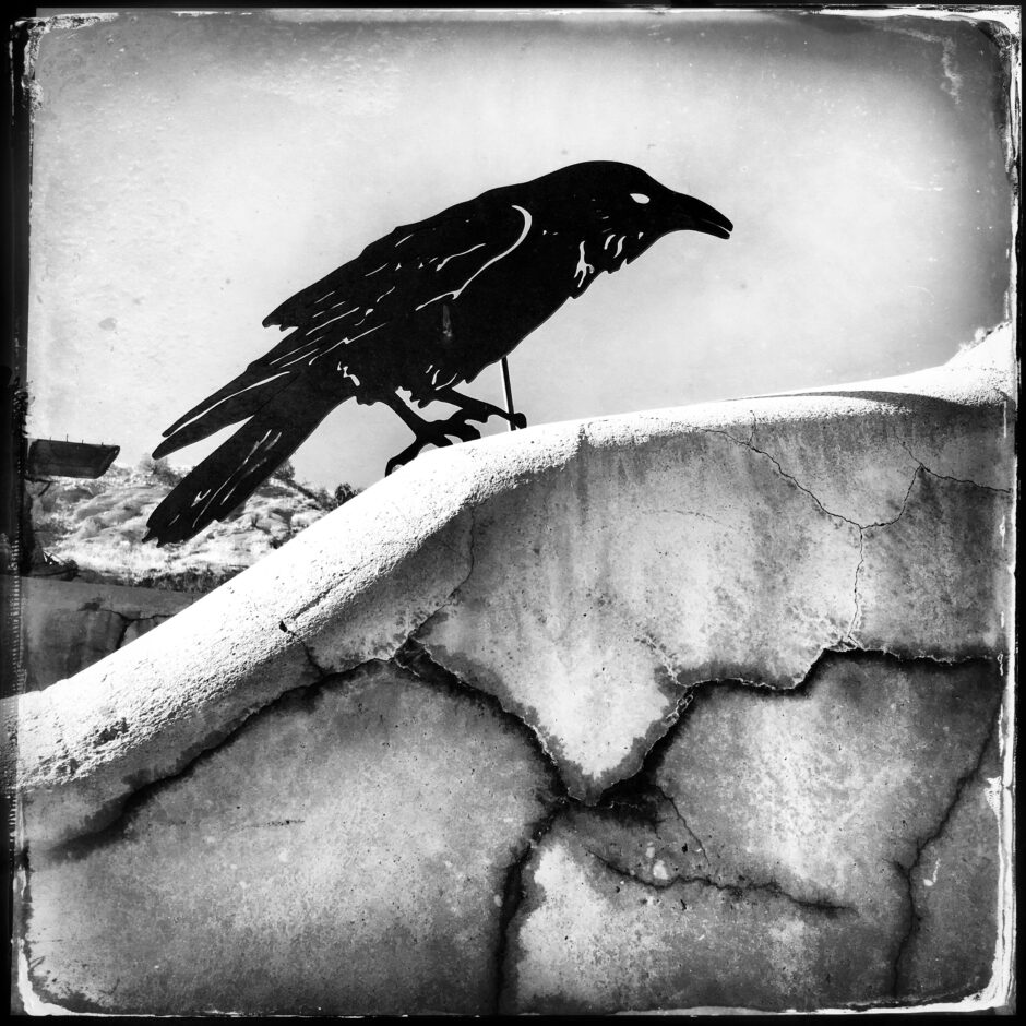 crow statue