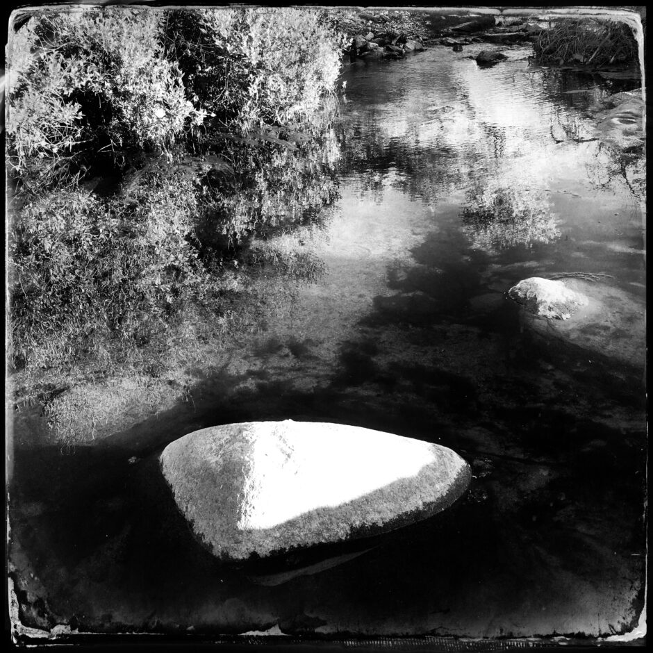 rock, water, bush