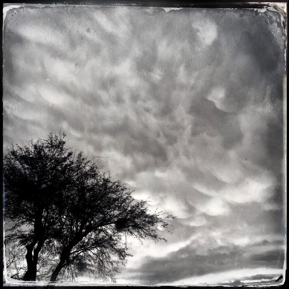 tree, sky, clouds