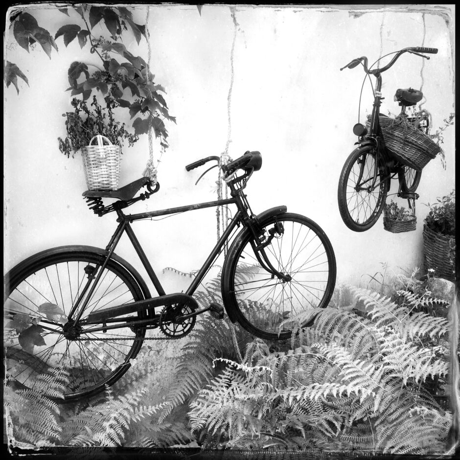 bicycles