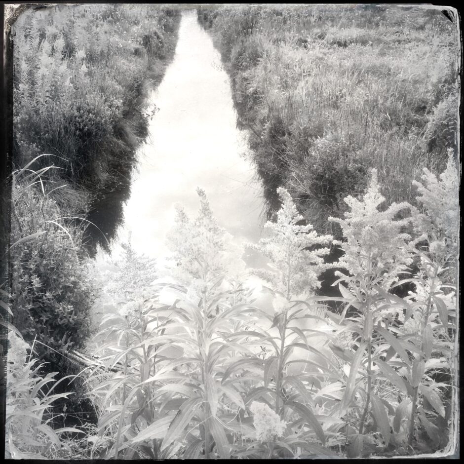 water, field